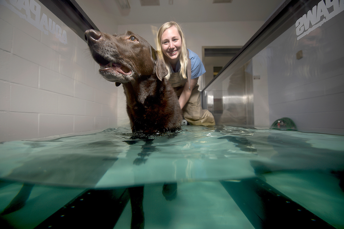 Veterinary Nursing student with dog in a pool