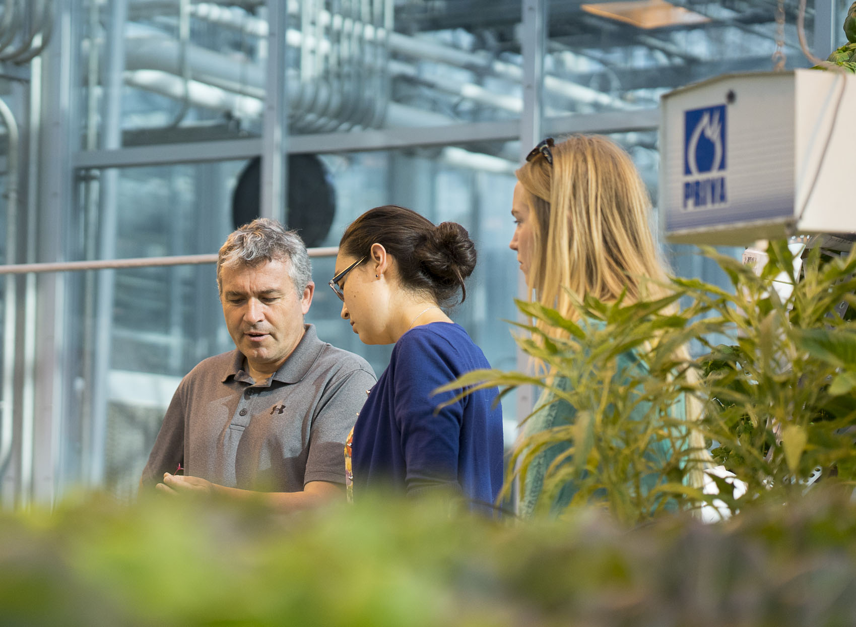 Horticulture Landscape Photo