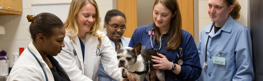 purdue vet clinic