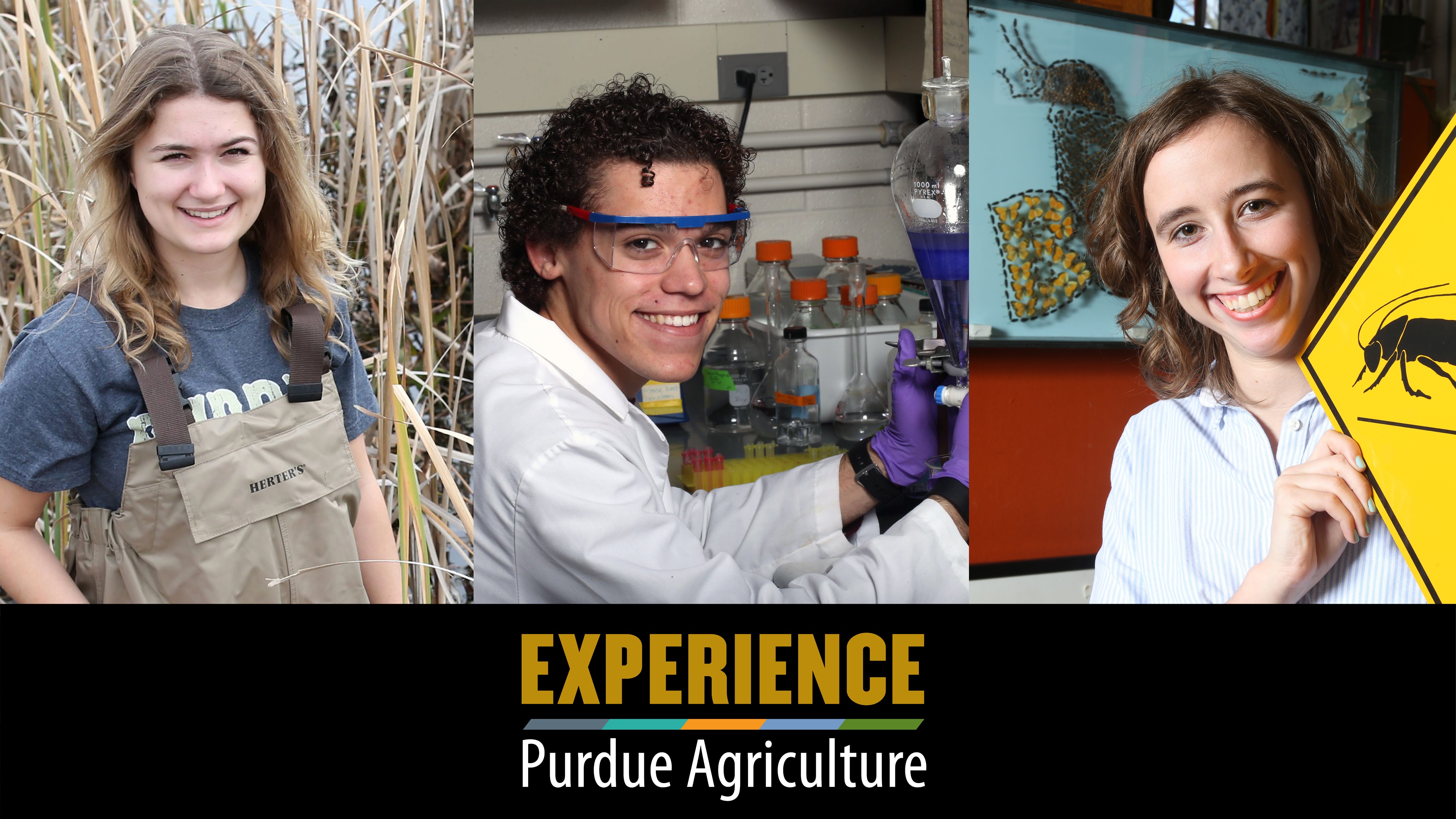 Experience Purdue Agriculture (photo)